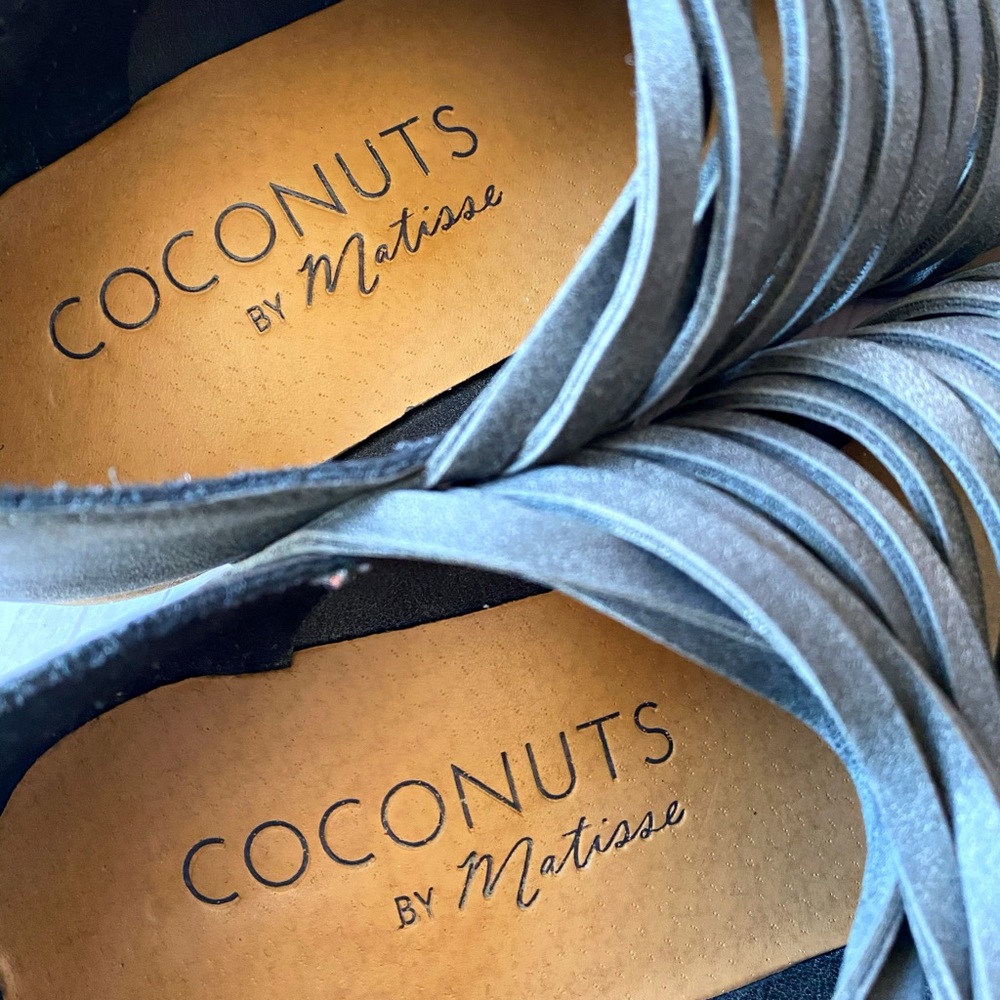 Authentic Coconuts Matisse - image 6